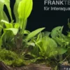 Aquarienpflanzen-Sortiment "Buntbarsch" 100-120 cm Aquarium, Aquarienpflanzen-Set