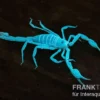 Arizona Bark Scorpion, Centruroides sculpturatus