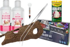 Axolotl Starter-Komplettset XL: Kühlung, Hautschutz, Höhle & mehr
