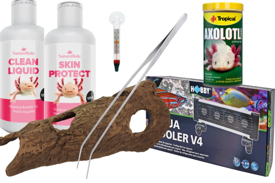 Axolotl Starter-Komplettset XL: Kühlung, Hautschutz, Höhle & mehr