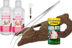 Axolotl Starter-Set: Hautschutz, Höhle & Futter