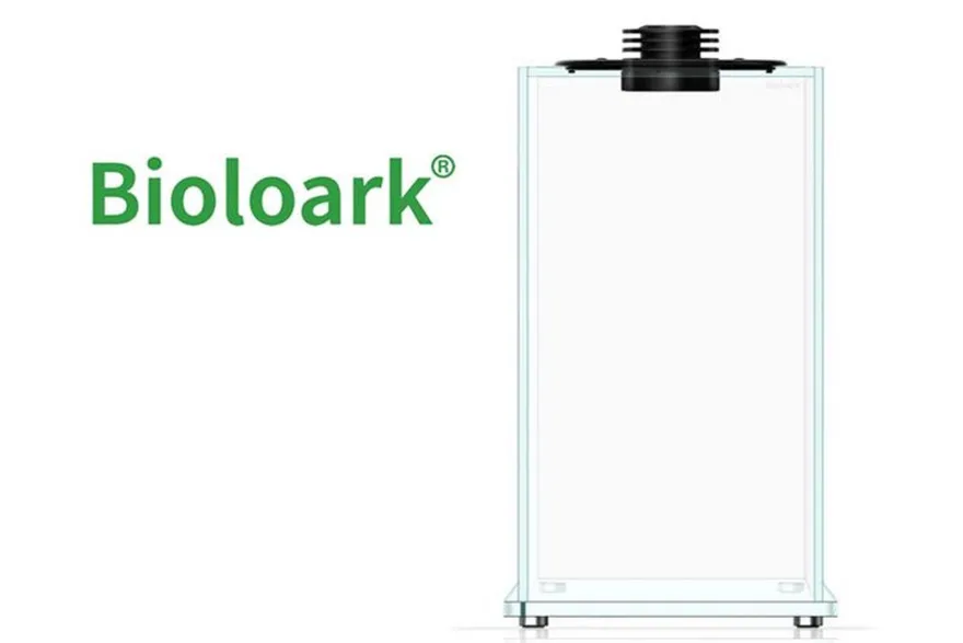 Bioloark Bio Bottle FD200 Wabi-Kusa / Biosphäre, Weißglas