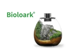 Bioloark Bio Bottle PD210 Wabi-Kusa / Biosphäre, Kugelvase