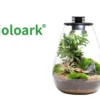 Bioloark Bio Bottle SD200 Wabi-Kusa / Biosphäre, Tropfenform