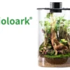 Bioloark Bio Bottle ZD200 Wabi-Kusa / Biosphäre, Zylinderform