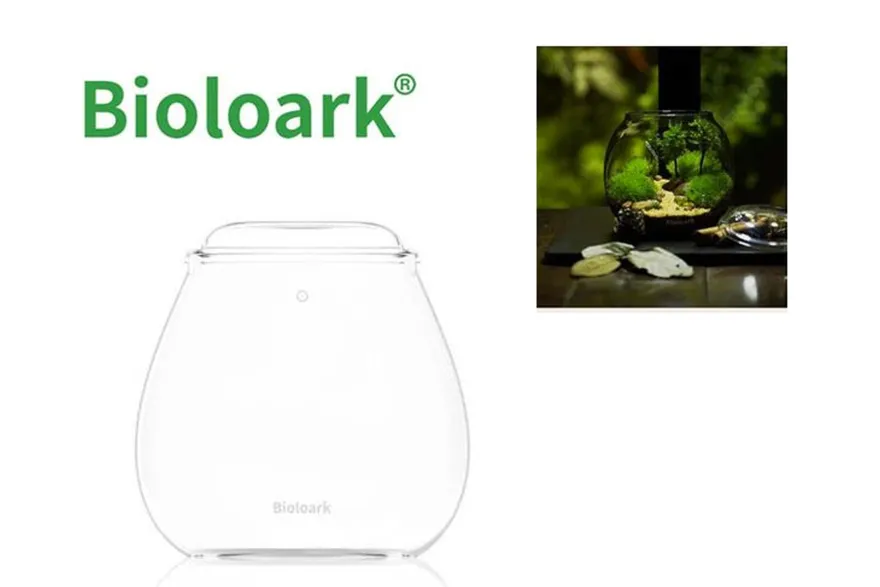 Bioloark Bubble Cup FOUR, Wabi-Kusa Glas