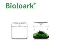 Bioloark Luji Glass Cup MY-120, Biosphären-Glas