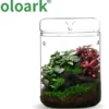 Bioloark Luji Glass Cup MY-120H, Biosphären-Glas