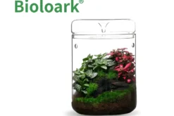 Bioloark Luji Glass Cup MY-120H, Biosphären-Glas