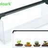 Bioloark Wabi-Kusa Set, Gift Box LH-02