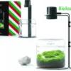 Bioloark Wabi-Kusa Set, Gift Box LH-03