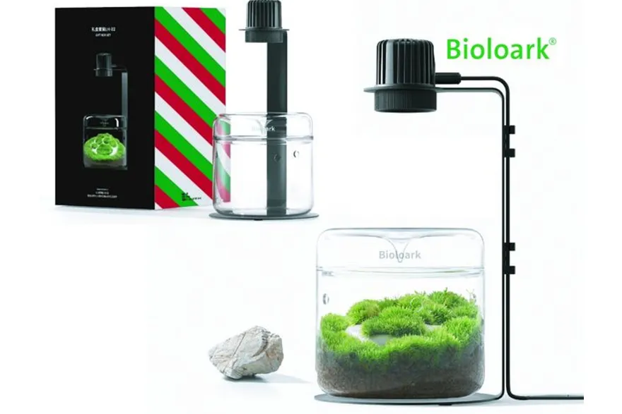 Bioloark Wabi-Kusa Set, Gift Box LH-03