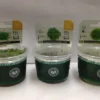 Bodendecker+Moos-Sortiment, In-Vitro, 6 Portionen