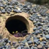 CeramicNature Cichlid-Iglu M, ca. 16 × 16 × 8 cm