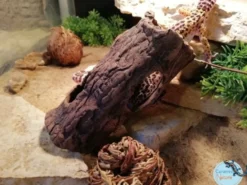 CeramicNature Log L, Baumstamm-Höhle, ca. 23 × 9 × 9 cm