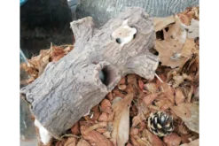 CeramicNature Log mit 2 Ästen, Baumstamm-Höhle, ca. 18 × 7 × 7 cm