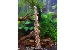 Ceramic Nature Shrimp Stick Lolly-Mix 10 Stk. Garnelenlollys