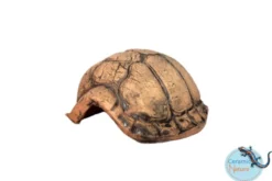 CeramicNature Turtle S, ca. 12 × 8 × 6 cm