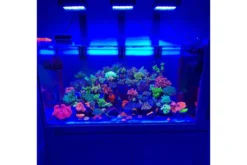 Chihiros Nova 1 Meerwasser-LED, 126 W