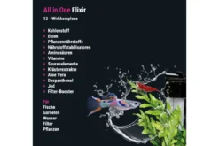 Dennerle All in One! Elixier, Komplettpflegemittel, 500 ml