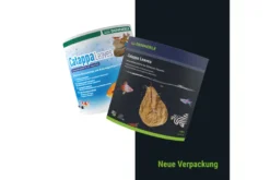 Dennerle Catappa Leaves, Seemandelbaumblätter, 10 Stück