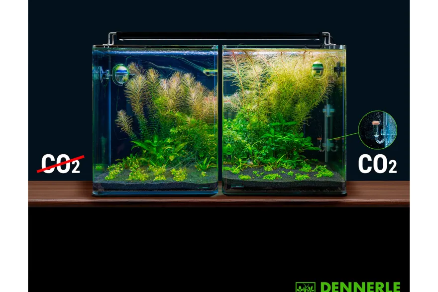 Dennerle CO² Pflanzen-Dünge-Set Carbo POWER E400 (Auslaufartikel)