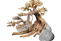 Dennerle Decor Box Bonsai, Dekorations-Set (Auslaufartikel)