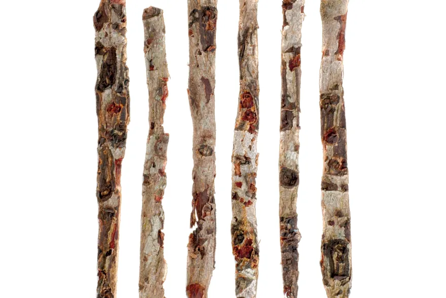 Dennerle Nano Catappa Bark, 8 St.