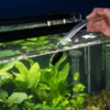 Dennerle Shake and Flow (Auslaufartikel)