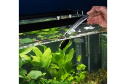 Dennerle Shake and Flow (Auslaufartikel)