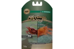 Dennerle ShrimpKing Dadap Leaves, 10 Stück
