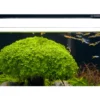 Dennerle Trocal Flat 35, LED-Aufsatzleuchte, 40-45 cm (Auslaufartikel)