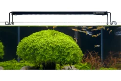 Dennerle Trocal Flat 35, LED-Aufsatzleuchte, 40-45 cm (Auslaufartikel)