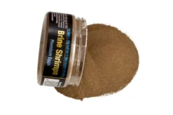Discusfood Brine Shrimps Premium Artemia Eggs, 50 g