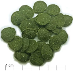 Discusfood Pleco & Catfish Algae Wafers, 50 g