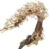 Dupla Crooked Root L, Handgemachte Aquariendeko