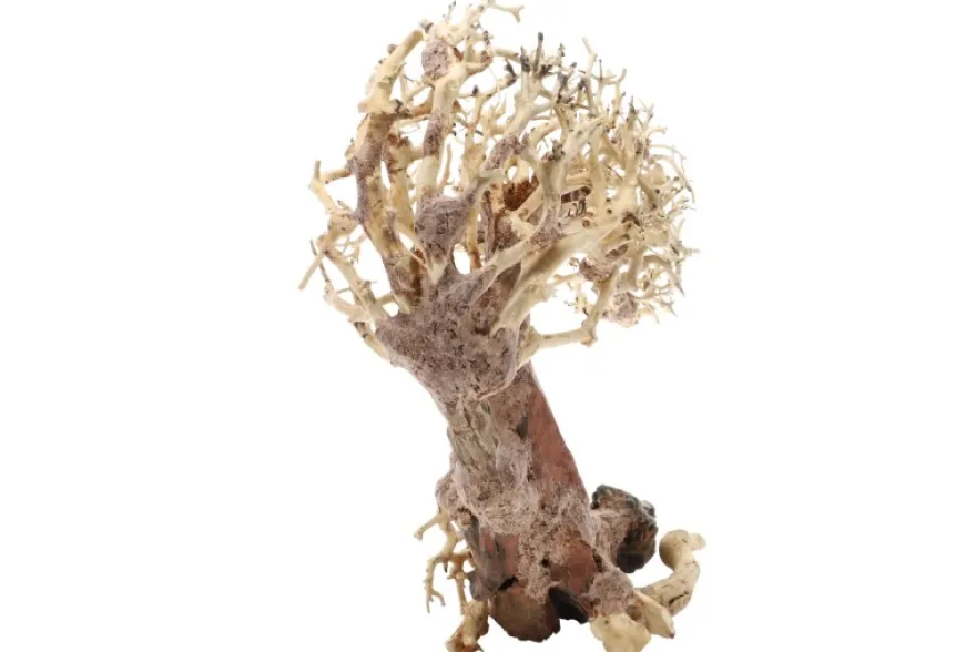 Dupla Crooked Root L, Handgemachte Aquariendeko