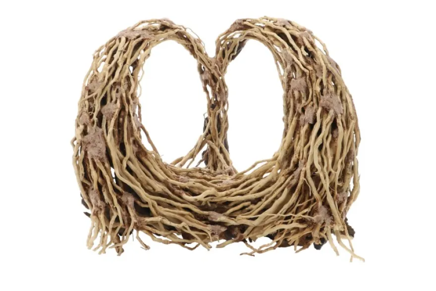 Dupla Heart Root, Handgemachte Aquariendeko