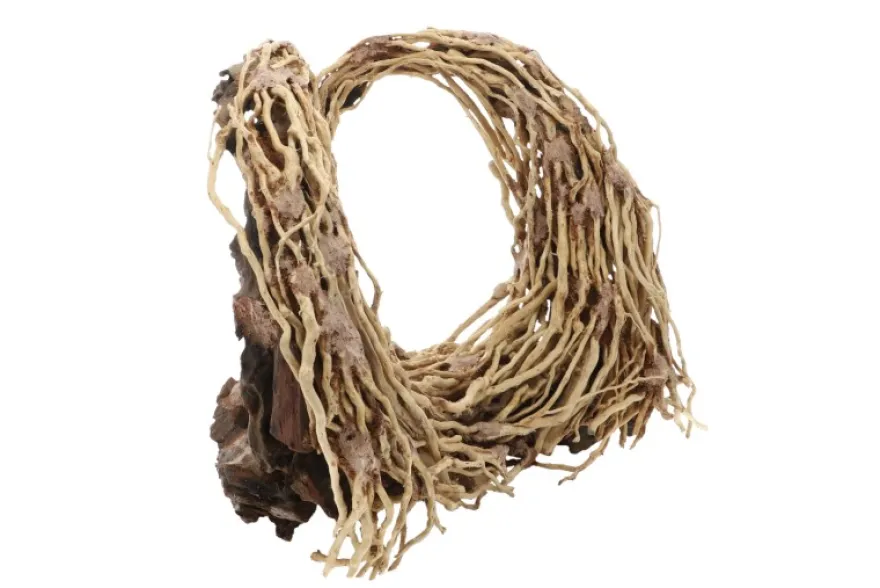 Dupla Heart Root, Handgemachte Aquariendeko