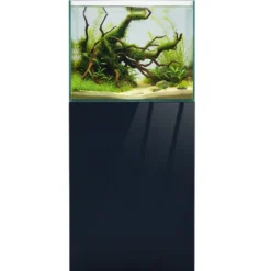 Dupla Marin Cube Stand 80 black, Unterschrank, 45 x 45 x 90 cm