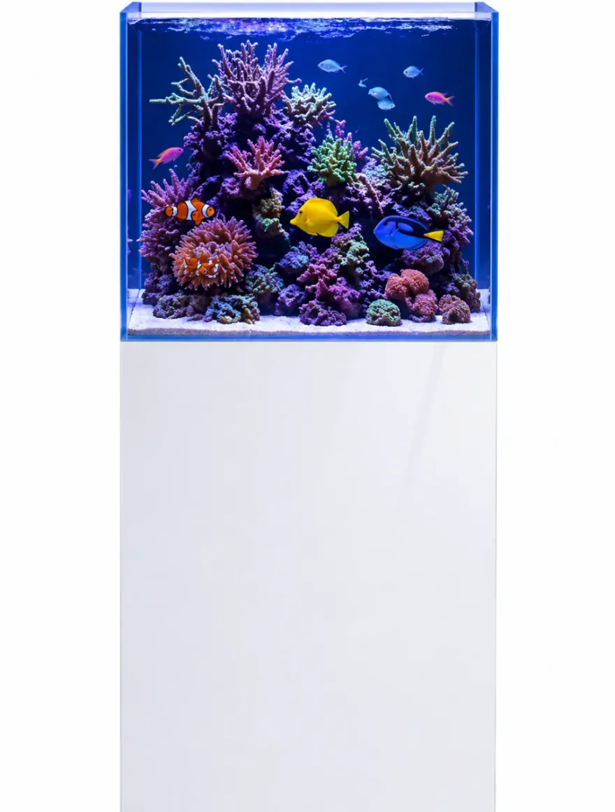 Dupla Marin Cube Stand 80 white, Unterschrank, 45 x 45 x 90 cm