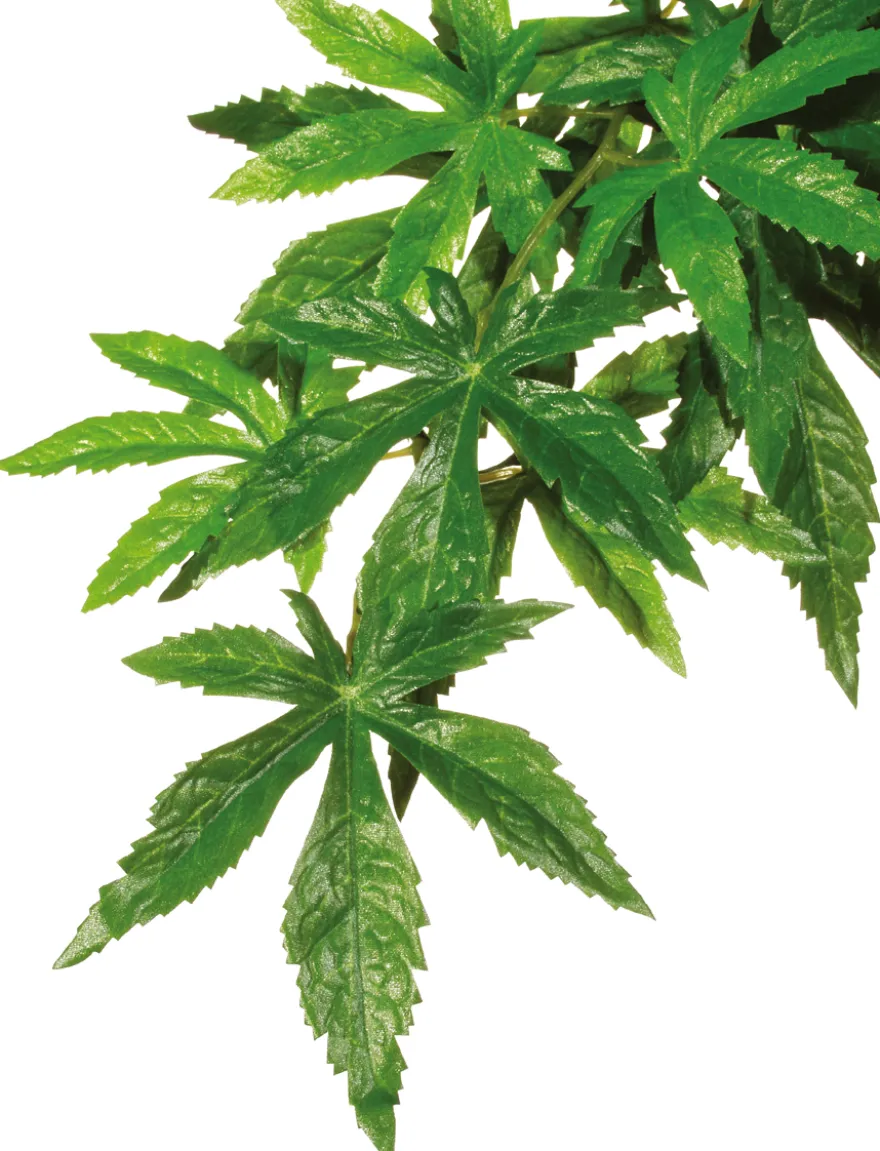 Exo Terra Abutilon groß