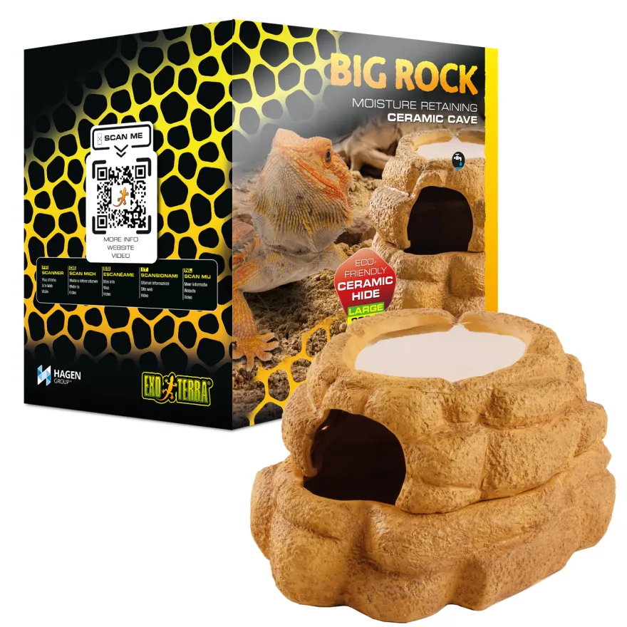Exo Terra Big Rock groß