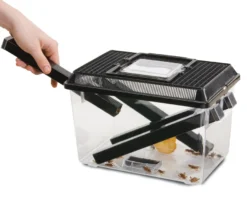 Exo Terra Cricket Box mit 3 Röhren + 2 Schwämme