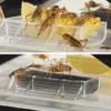 Exo Terra Cricket Box mit 2 Röhren + 1 Schwamm