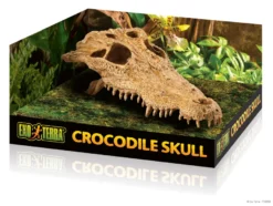 Exo Terra Crocodile Kopf 23x12x7,5 cm