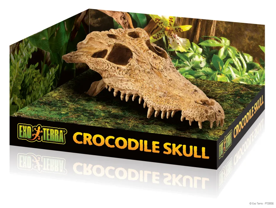 Exo Terra Crocodile Kopf 23x12x7,5 cm