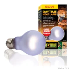 Exo Terra Day Glo SG A19/60 W