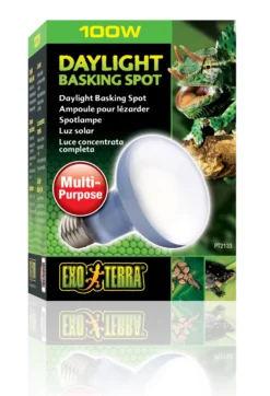 Exo Terra Daylight Basking Spot R25/100 W