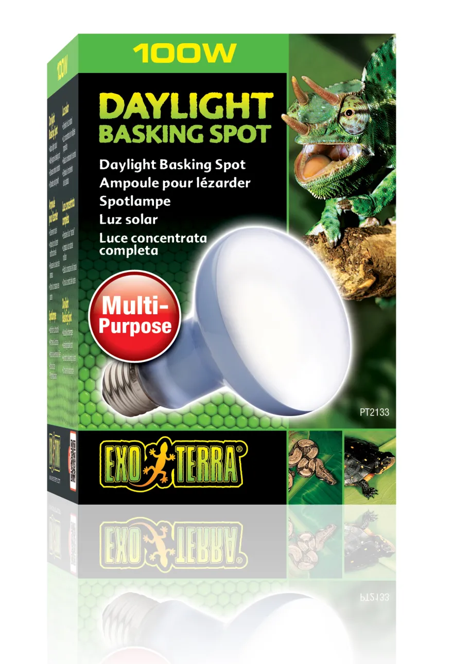 Exo Terra Daylight Basking Spot R25/100 W